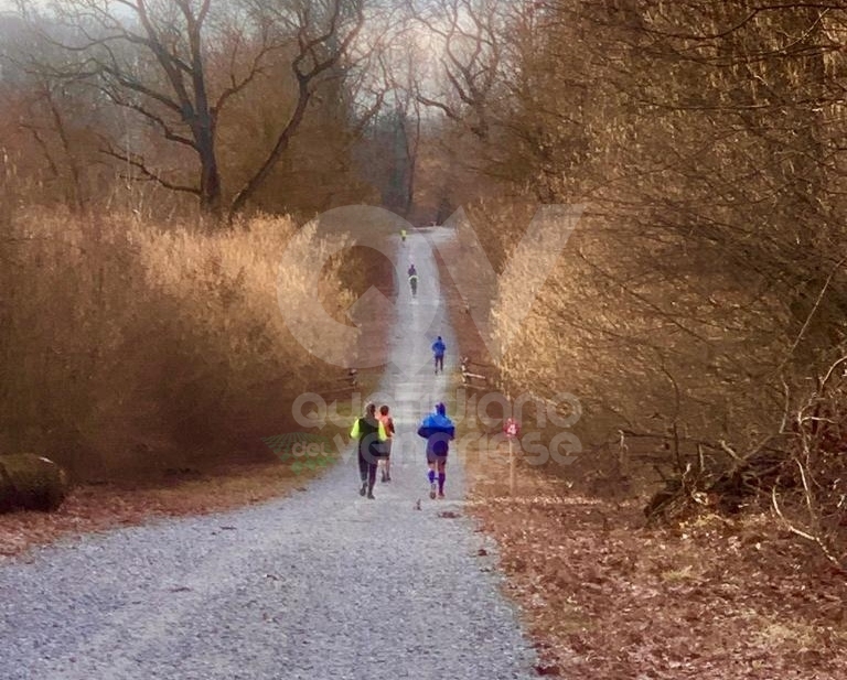 PARCO LA MANDRIA aperto regolarmente: in tanti correvano gi all'alba