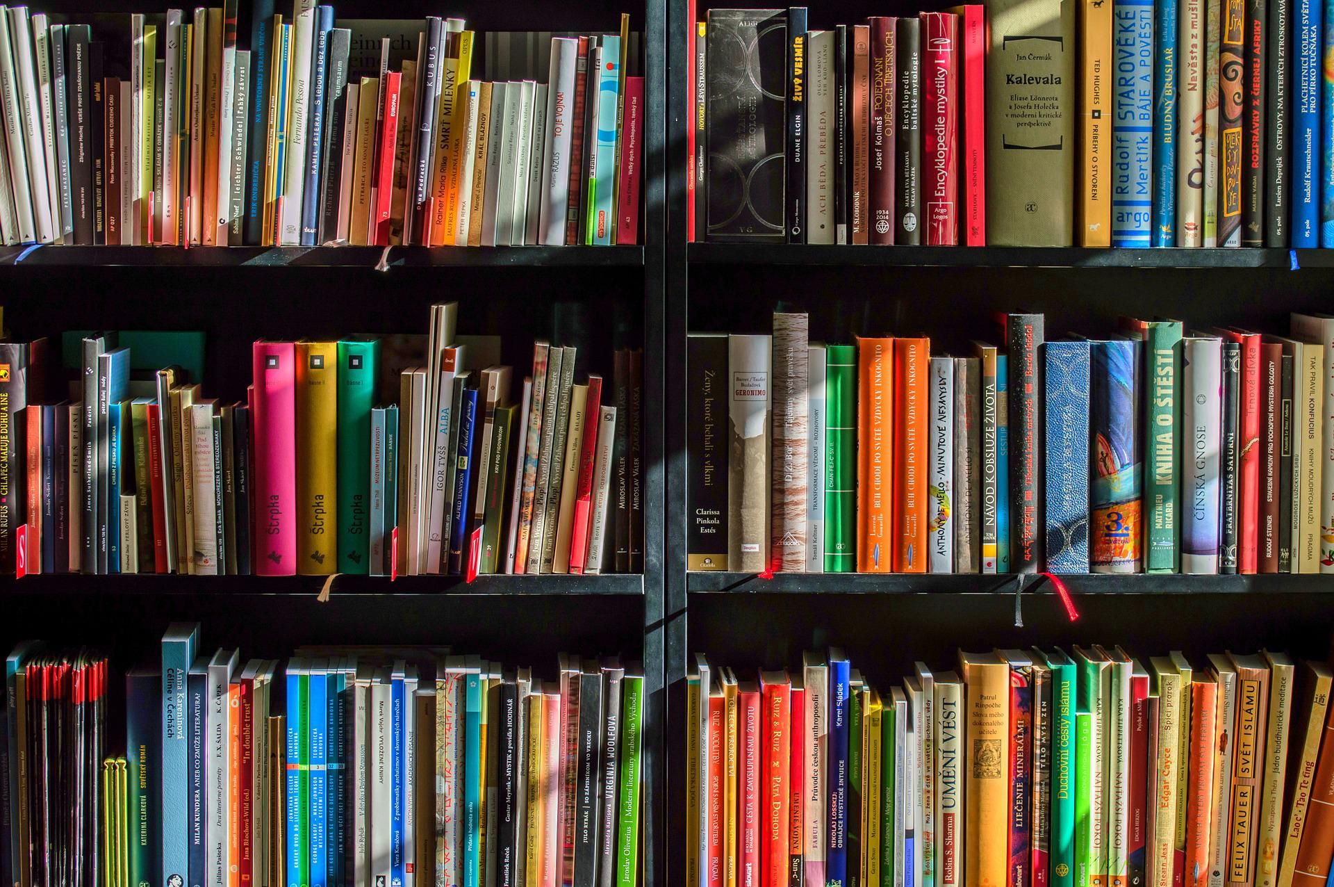 VENARIA-RIVOLI-GRUGLIASCO-COLLEGNO - Le quattro Librerie di Qualit scelte dal Ministero della Cultura: ecco quali sono