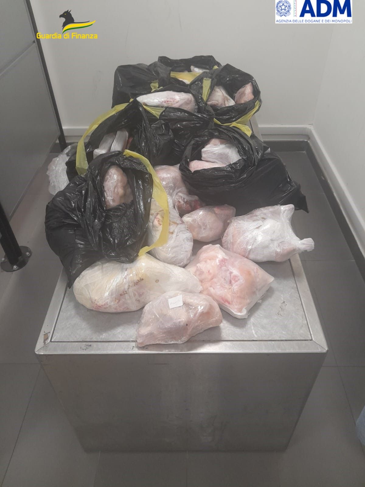 TORINO-CASELLE - Nei borsoni c'erano 64 chili di carne: sequestrati in aeroporto - FOTO