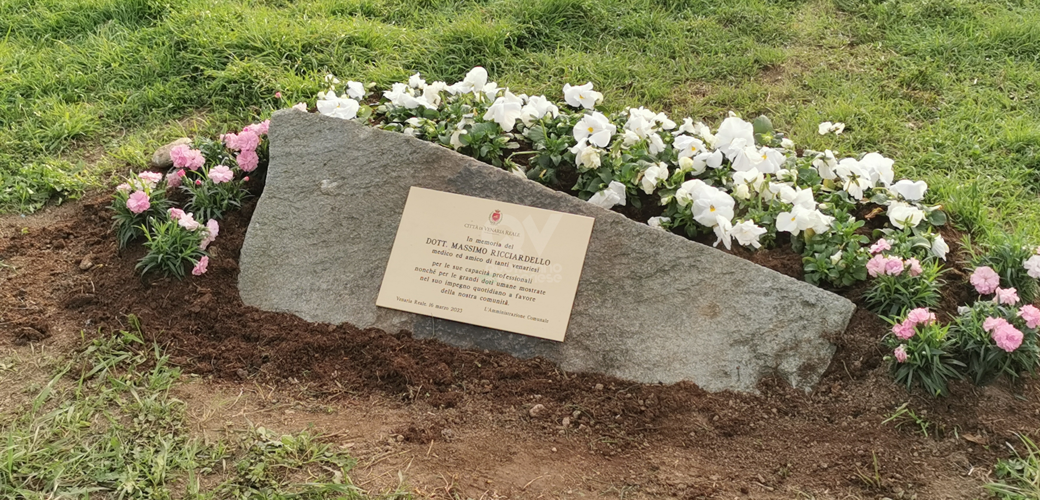VENARIA - Due anni senza Massimo Ricciardello: in piazza Ravera una targa e una magnolia - FOTO