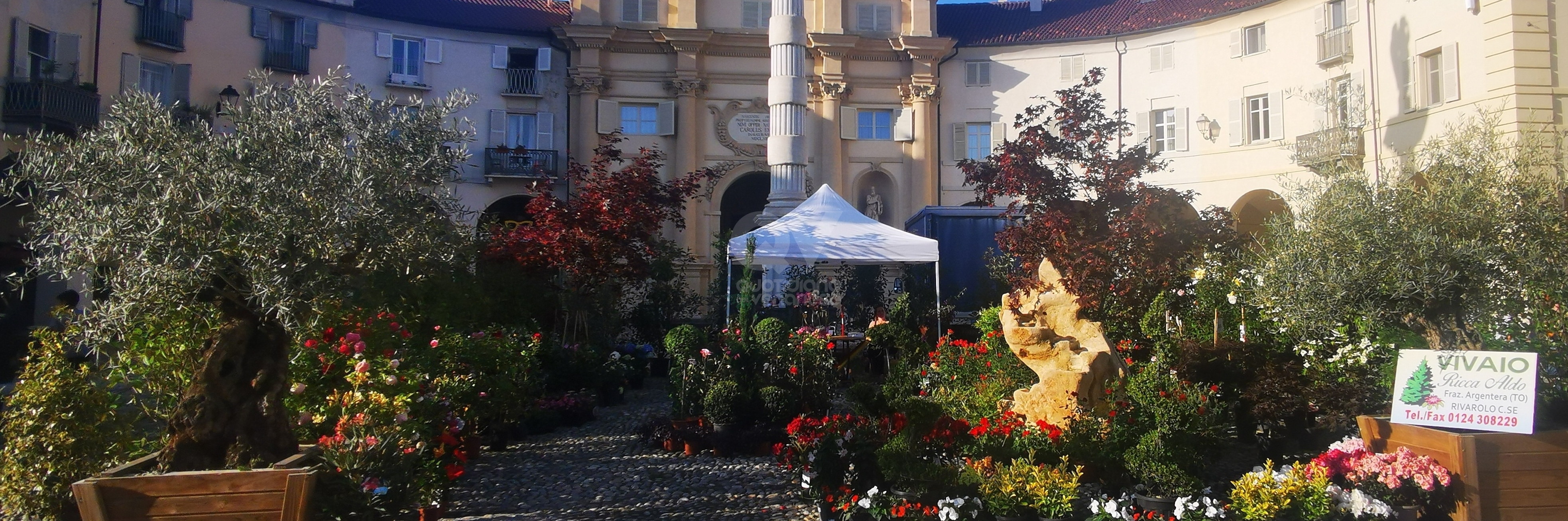 VENARIA - Scocca l'ora della Festa delle Rose e di Fragranzia: IL PROGRAMMA